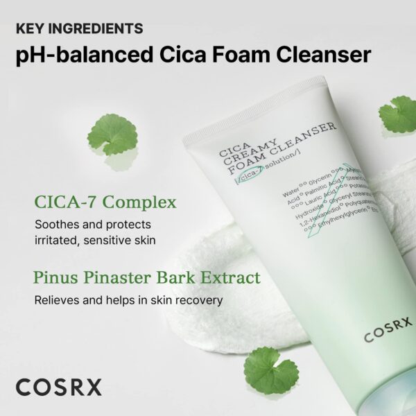 Version 1.0.0 Pure Fit Cica Cleanser